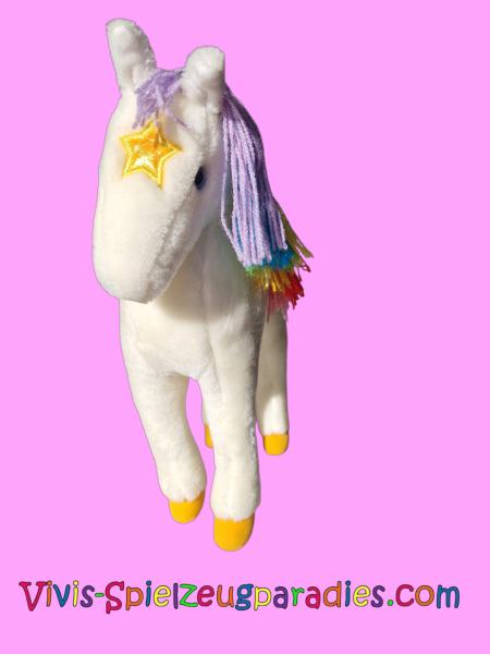 Regina Regenbogen  Pferd Sternenstaub
